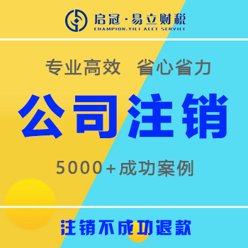 遂宁公司注销